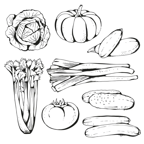 Recogida vectorial de verduras elaboradas a mano — Vector de stock