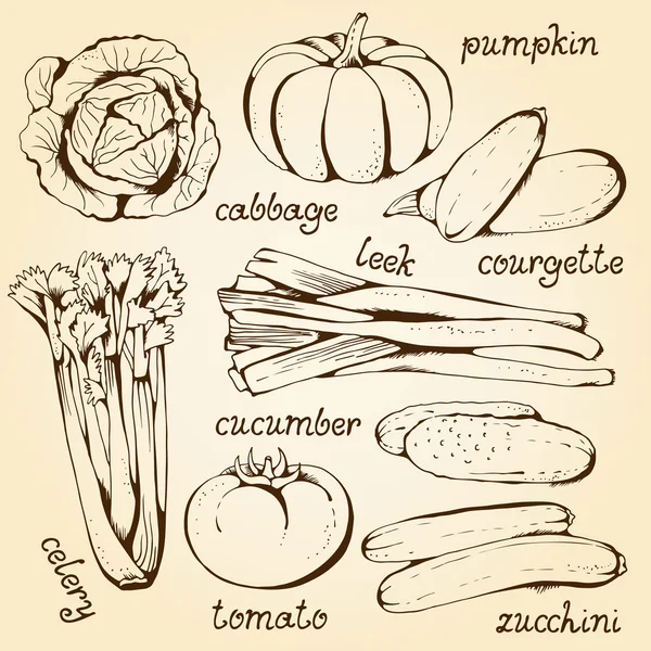 Conjunto de vetores com legumes desenhados à mão sobre um fundo bege — Vetor de Stock