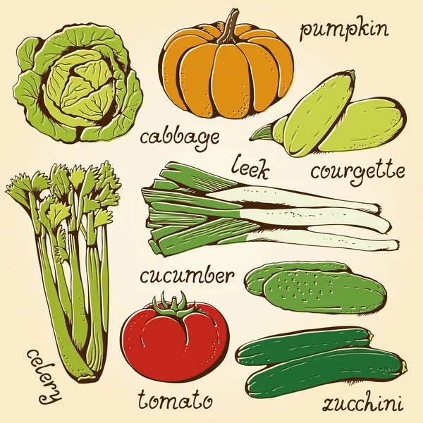 Juego de colores de verduras vectoriales — Archivo Imágenes Vectoriales