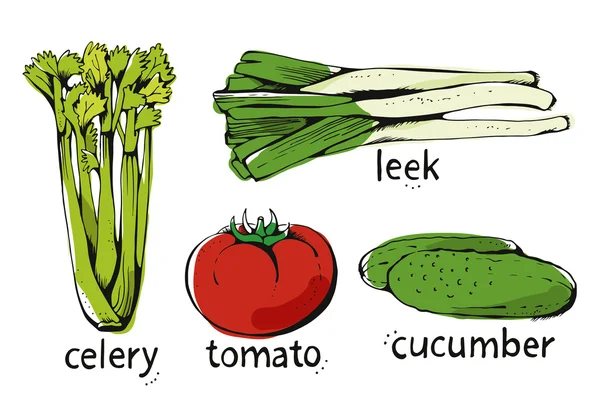 Conjunto de vegetais coloridos sortidos à mão, ilustração vetorial — Vetor de Stock