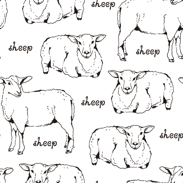 厚い毛皮のシームレスなパターンを持つ羊 — ストックベクタ