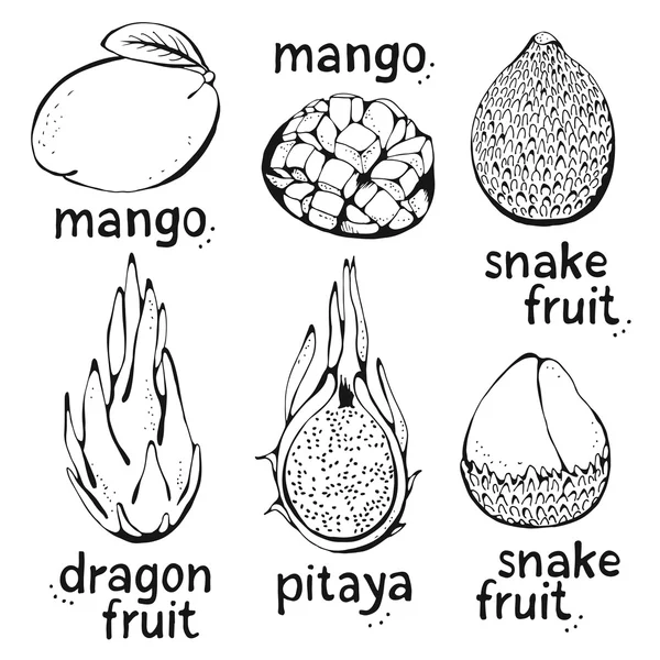 Conjunto de frutas tropicais, coleção de desenho vetorial — Vetor de Stock