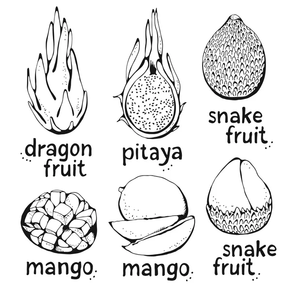 Hand tekening mango, Snake fruit en Dragon fruit (Pitaya) — Stockvector