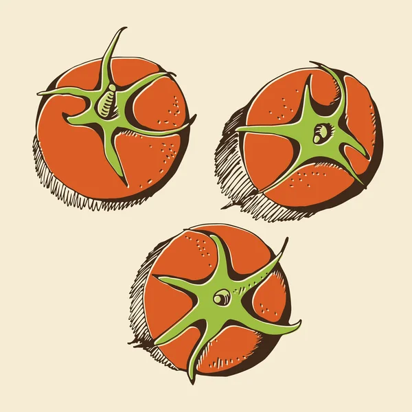 Tomaten tekening, kleur vector set — Stockvector