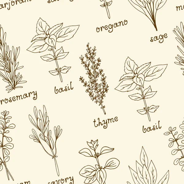 Beige herbs seamless background in vintage style, botanical decorative pattern — Stock Vector