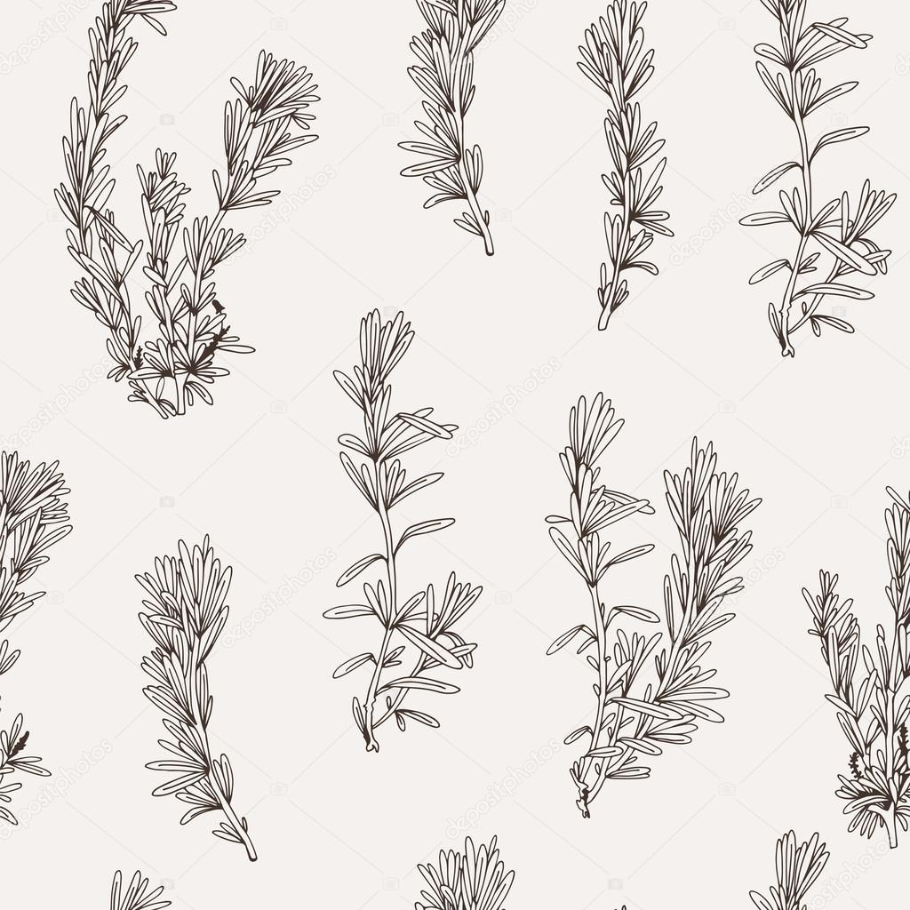 Seamless food herbs vector background