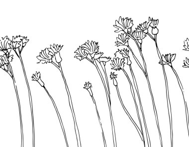 Bitkiler ve çiçekler vektör çizimi, yabani otlar ve çiçekler rüzgarda sallanıyor, beyaz arka planda izole edilmiş.