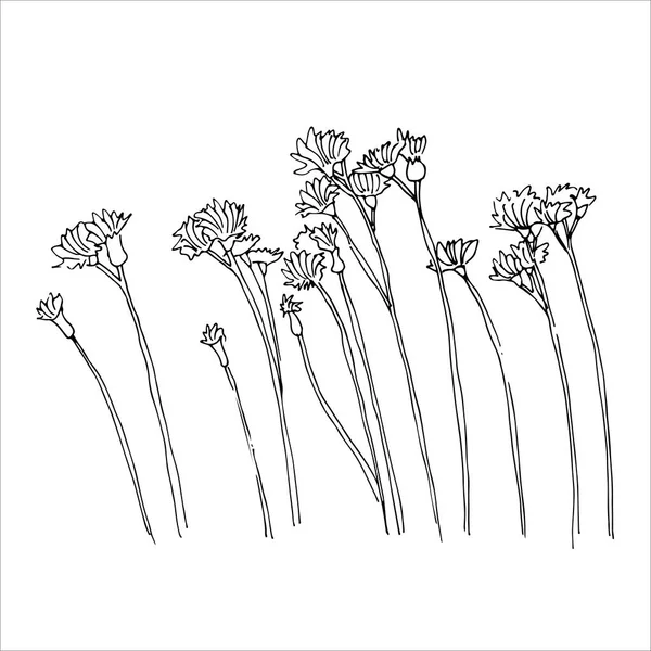 Herbs Flowers Vector Sketch Illustration Wild Grasses Flowers Sway Wind — Stock Vector