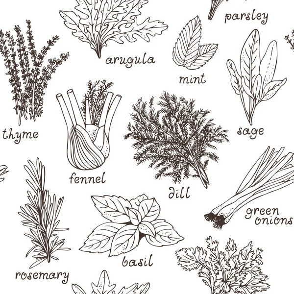 Herbes Culinaires Motif Sans Couture Ensemble Dessiné Main Herbes Épices — Image vectorielle