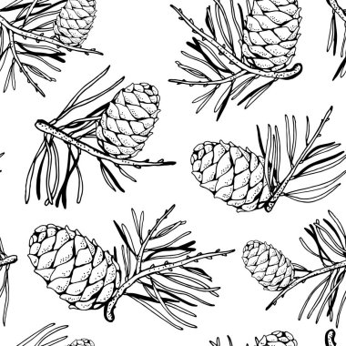 Filizli çam kozalağı, vektörsüz el çizimi arka plan