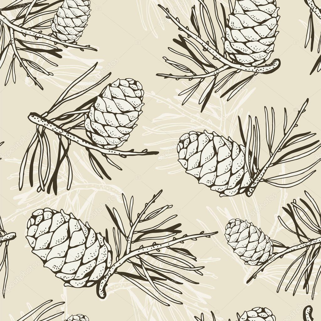 Pine cedar cone with a sprig, vector seamless hand drawn background