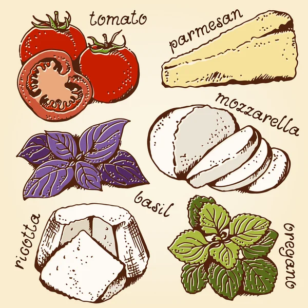 Set de ingredientes de lasaña — Vector de stock