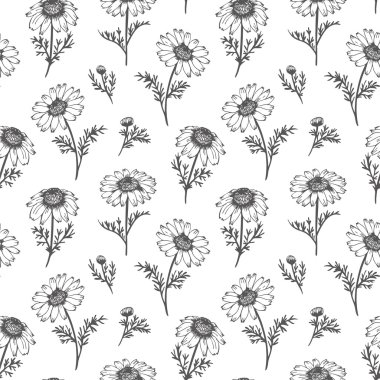 Papatya vektör desen