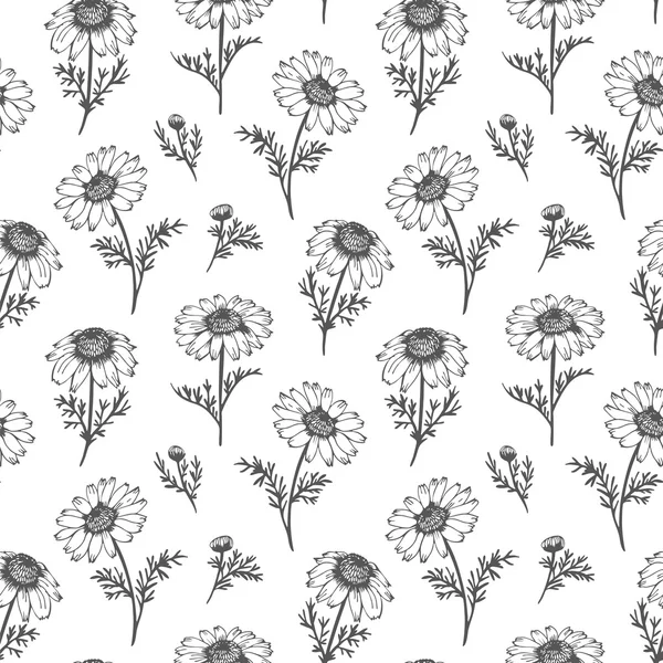 Chamomile vector pattern — Stock Vector