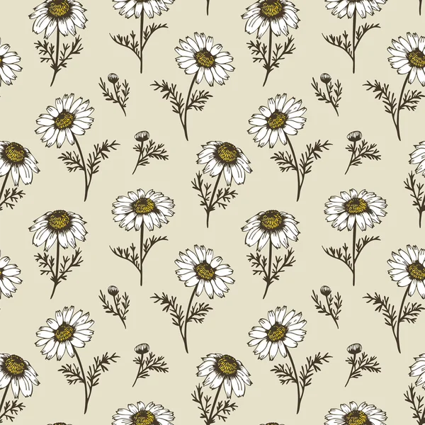 カモミールの花のベクトル パターン — ストックベクタ
