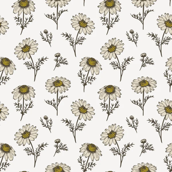 カモミールの花のシームレス パターン — ストックベクタ