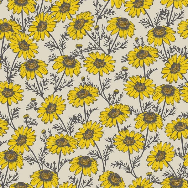 Seamless pattern from hand drawn chamomile, vector floral backgr — Stock Vector