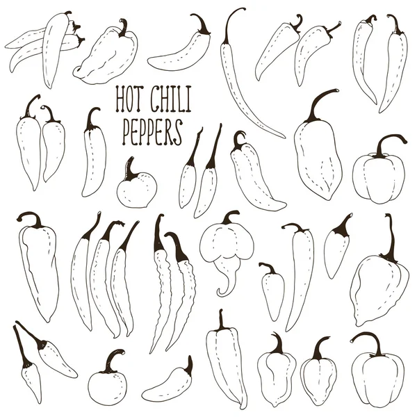 Sada ručně kreslenou hot chili peppers — Stockový vektor