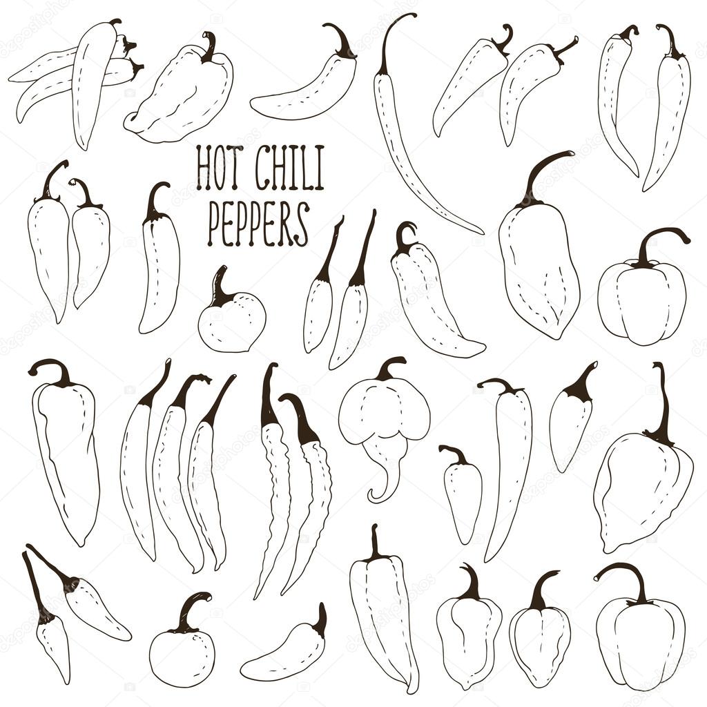 Set of hand drawn hot chili peppers