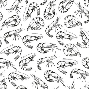 Hand drawn shrimps pattern isolated on a white clipart