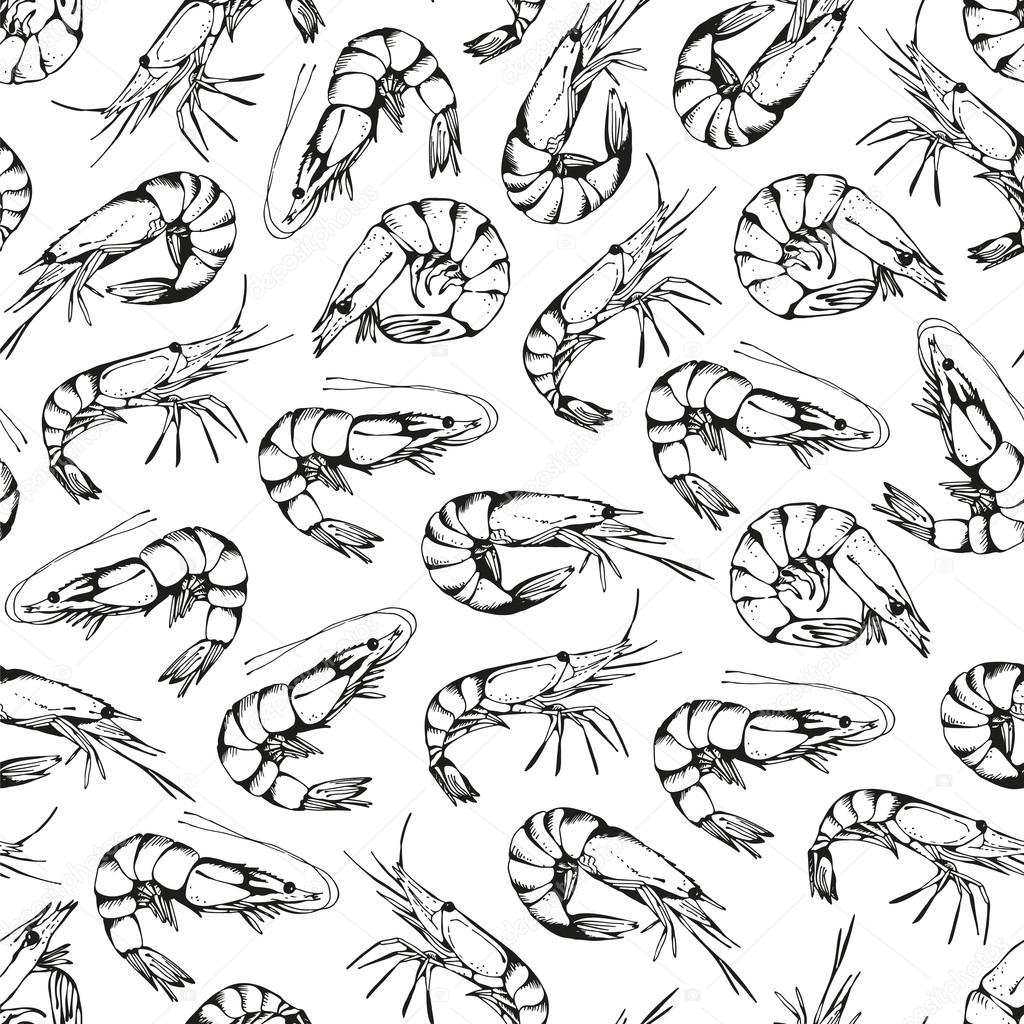 Hand drawn shrimps pattern isolated on a white