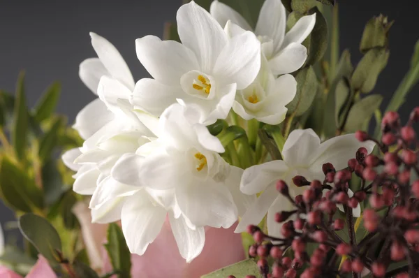 Bunch of multicolor flowers. — Stock Photo, Image