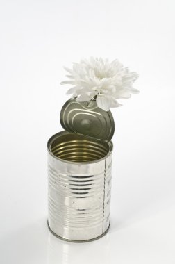 bir beyaz krizantem eski teneke içinde beyaz üzerinde olabilir. kavram Şti