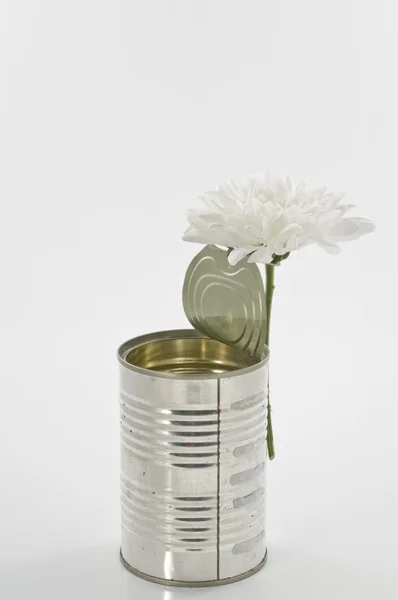 One white chrysanthemum in a tin old can over white. Concept sti — Stock Photo, Image