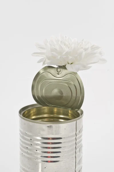 One white chrysanthemum in a tin old can over white. Concept sti — Stock Photo, Image