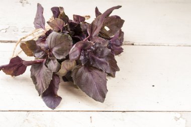 Rustik ahşap artalanları üzerinde taze organik fesleğen demet