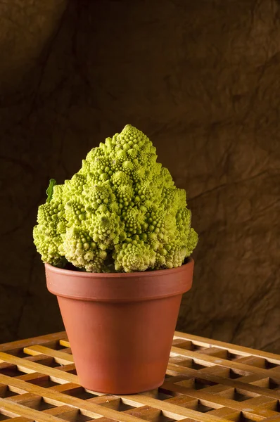 Romanesco cauliflower in clay pot — Stock Photo, Image