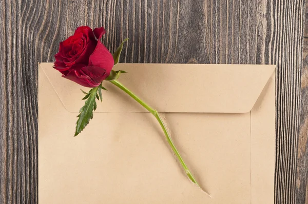 Red rose flower in a torn paper envelope. — Stock Photo, Image