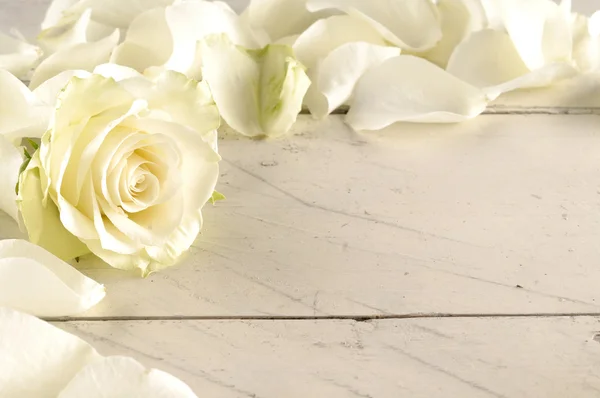 Rose and petals over wooden background. — Stock Photo, Image