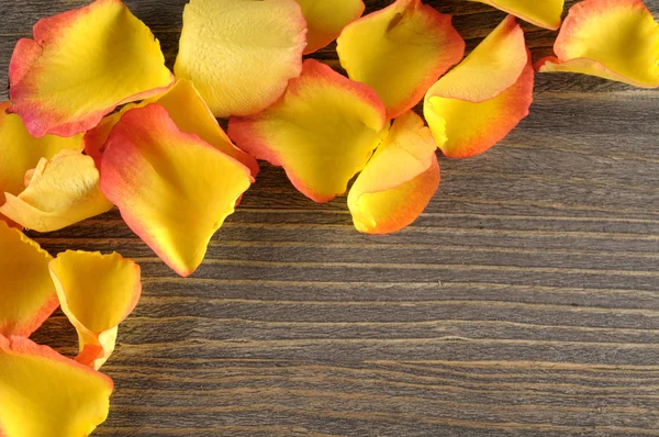 Rose und Blütenblätter über Holzgrund. — Stockfoto