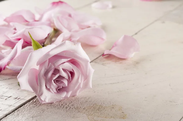 Rosa e pétalas sobre fundo de madeira . — Fotografia de Stock