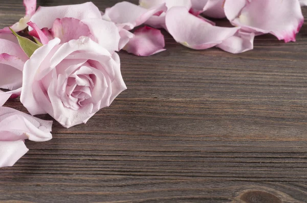 Rose and petals over wooden background. — Stock Photo, Image