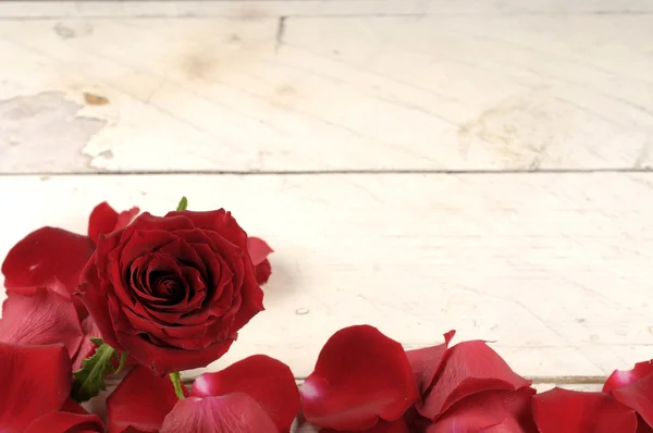 Rose en bloemblaadjes op houten achtergrond. Stockfoto