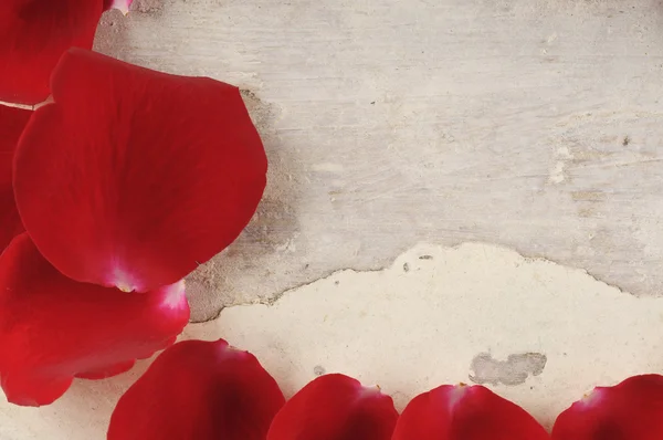 Cornice di petali di rosa rossa su fondo di legno . Foto Stock Royalty Free