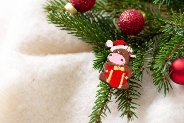 2021 boğa ineğinin ladin dallarındaki ahşap sembolü. Noel kartı. Kopyalama alanı