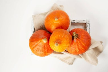 Hokkaido balkabakları. Hafif arka planda Hokkaido balkabakları. Balkabakları yakın plan. Sonbahar hasadı konsepti