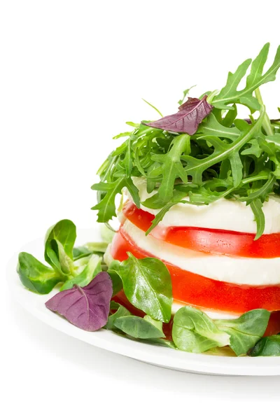 Sallad caprese isolerad på vit — Stockfoto