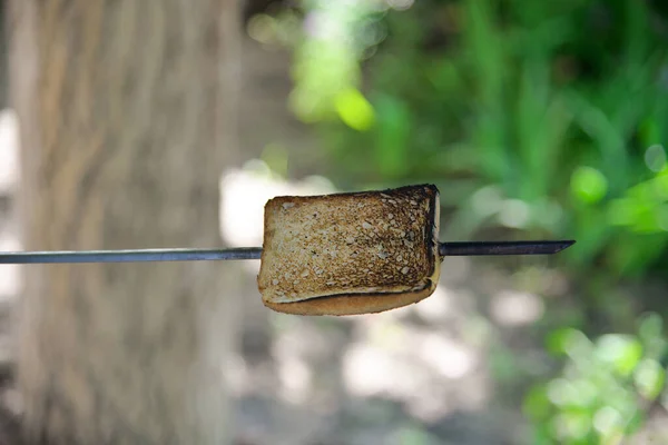 Pirítós Grillen Egy Pikniken — Stock Fotó