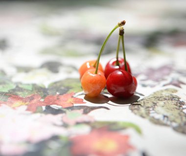 Bahçede kiraz çiçekleri