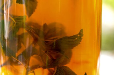 Cam kavanozda bitki çayı.