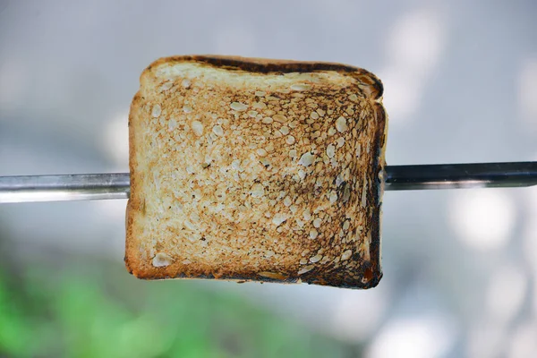Toast Grill Picnic — Stock Photo, Image