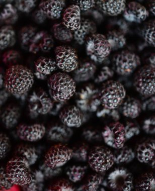 Taze olgun böğürtlenlerin arka planı