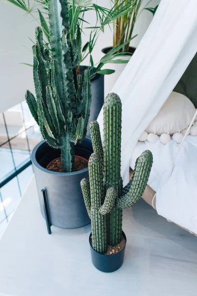 Cactus Maceta Decoración Interior — Foto de Stock