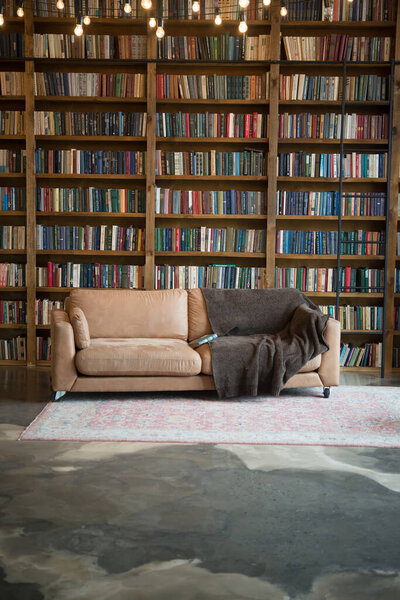 Cozy reading nook with a great home library with a selection of books.