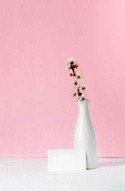 Pembe bir duvarda boş, yatay beyaz bir kart. Beyaz bir seramik vazoda kayısı dalları açıyor. Sanat konsepti. İskandinav iç tasarımı, insan yok. Bahar hala hayat.