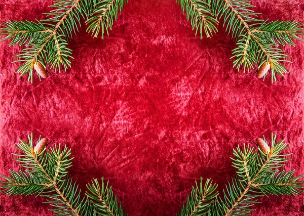 Weihnachten Hintergrund Grüne Tannenzweige Auf Rotem Samt Festlichen Hintergrund Kreative — Stockfoto